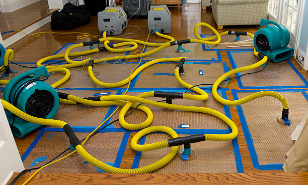 Professional Basement Flood Cleanup technician working in Saint Johns, OH